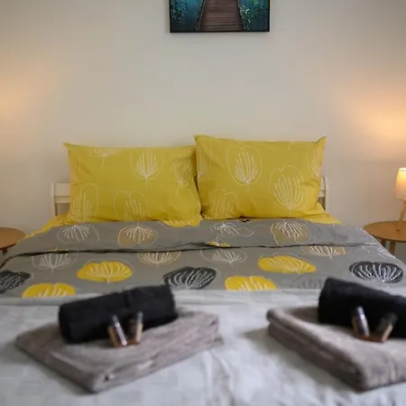 Center - 2 Min From Ndk *