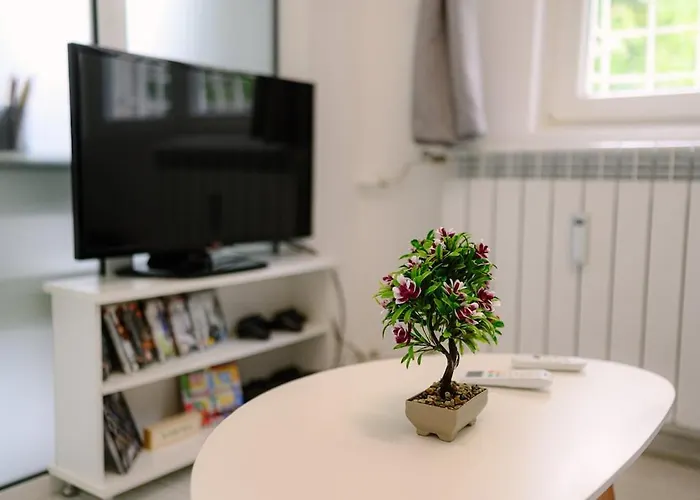 Lägenhet Center - 2 Min From Ndk