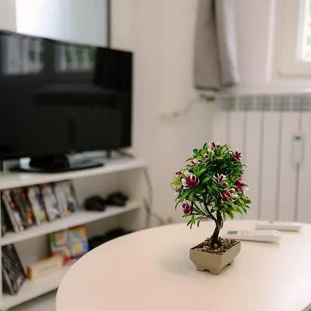 Appartement Center - 2 Min From Ndk